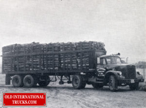 V-195 4X2 TRACTOR INTERATIONAL <div class="download-image"><a href="https://oldinternationaltrucks.com/wp-content/uploads/2017/12/img290-1.jpg" download><i class="fa fa-download"></i> <span class="full-size"></span></a></div>
